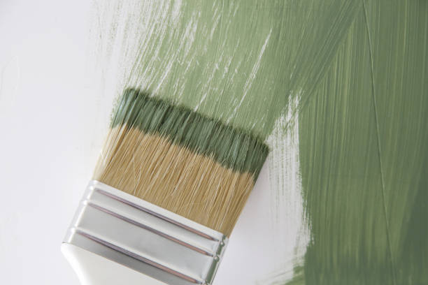 Best Mold Remediation for Healthcare Facilities  in Highland, KS