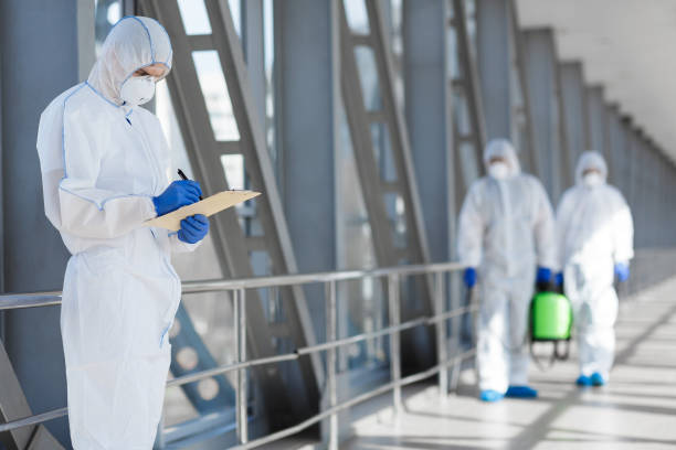Best Black Mold Removal  in Highland, KS