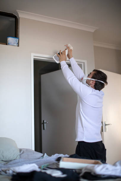 Best Mold Damage Restoration  in Highland, KS