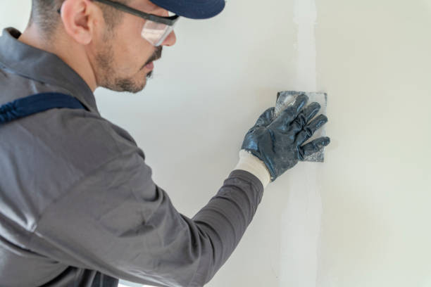 Best Basement Mold Removal  in Highland, KS