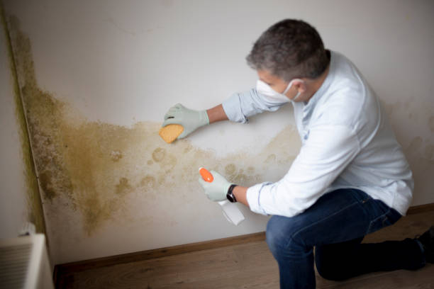 Best Mold-Related Health Consultation  in Highland, KS