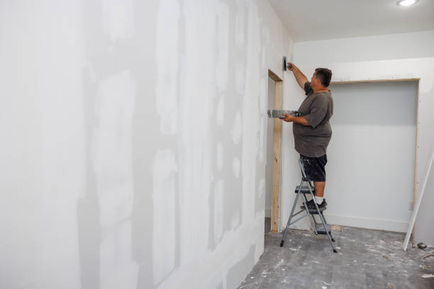 Best Forensic Mold Investigation  in Highland, KS