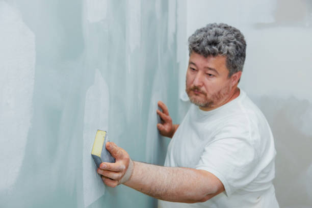 Best Mold Damage Restoration  in Highland, KS