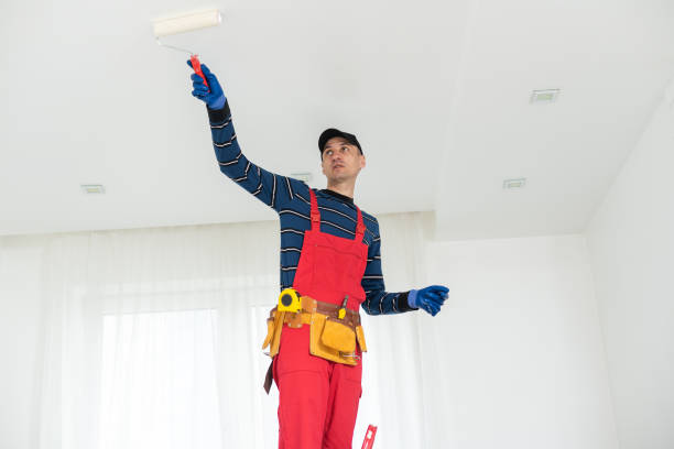 Best Mold Odor Removal Services  in Highland, KS
