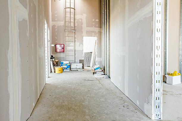 Best Real Estate Mold Inspection  in Highland, KS