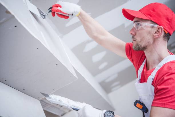 Best Water Damage & Mold Remediation  in Highland, KS