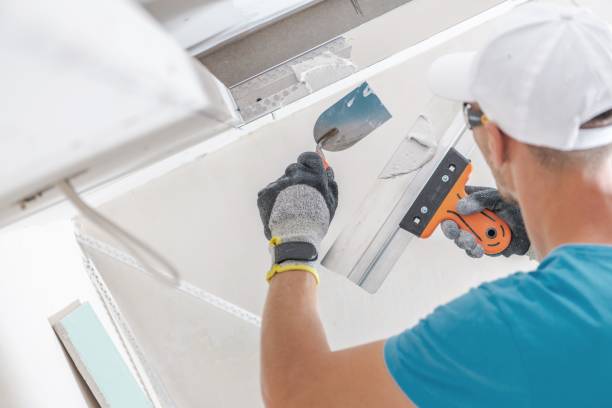 Best Attic Mold Removal  in Highland, KS